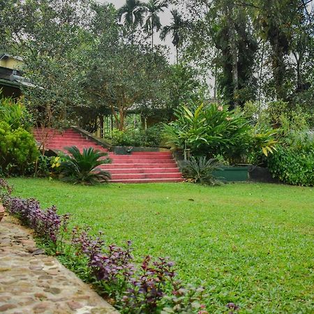 Blue Magpie Lodge Sinharaja Kudawe Exteriér fotografie