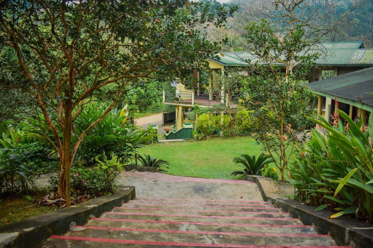 Blue Magpie Lodge Sinharaja Kudawe Exteriér fotografie